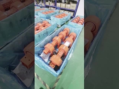 IP66 αυτοκλειδωτική διπλή άξονα οδήγηση